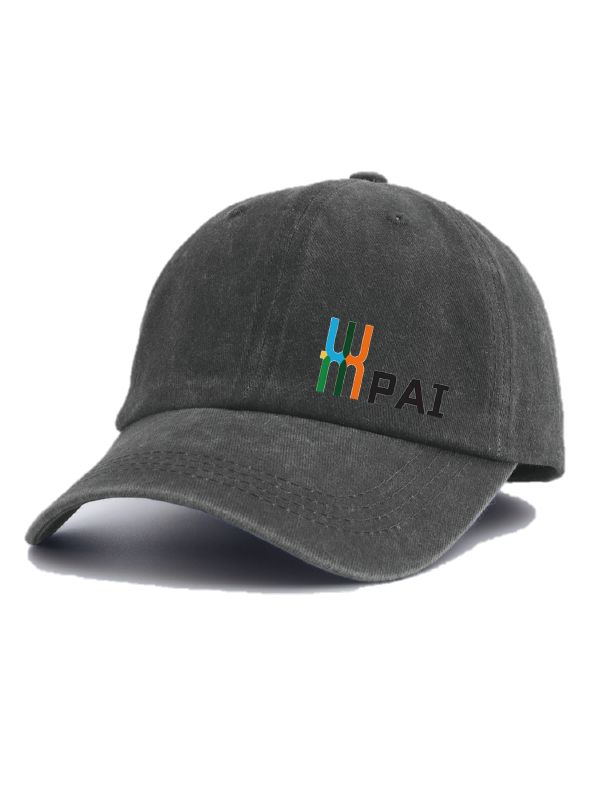 WMPAI hat